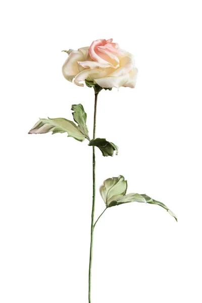 Rosa Artificiale Gialla Sfondo Bianco — Foto Stock