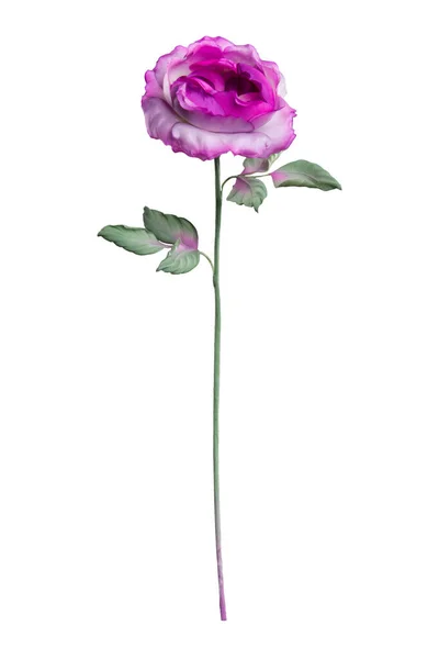Rosa Artificiale Viola Sfondo Bianco — Foto Stock