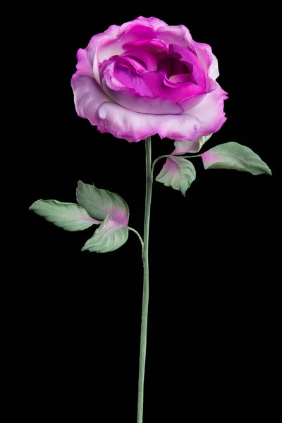 Rosa Artificiale Viola Sfondo Nero — Foto Stock