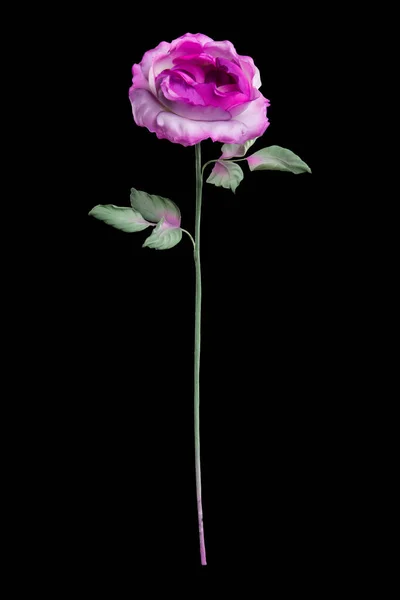 Artificial purple rose on black background