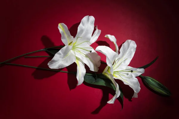 Künstliche Lilys Auf Rotem Hintergrund — Stockfoto