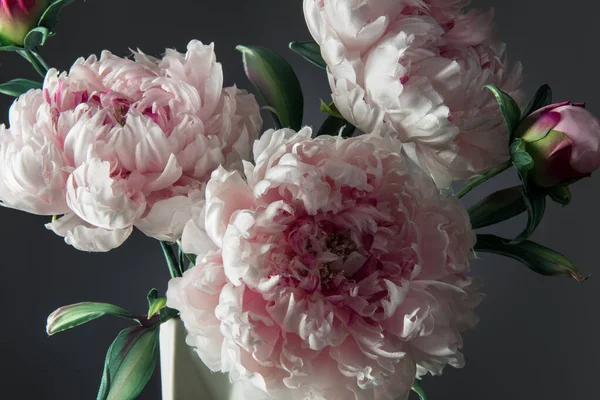 Vase Mit Künstlichen Tauben Auf Dunklem Hintergrund — Stockfoto