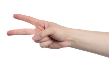 Beyaz arka planda 1 'den 5' e kadar erkek eli sayılıyor.