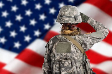 Amerikan Ordusu askeri (ISAF) üniformalı kadın selam veriyor. Stüdyoda çekilmiş. Arka planda ABD bayrağı 