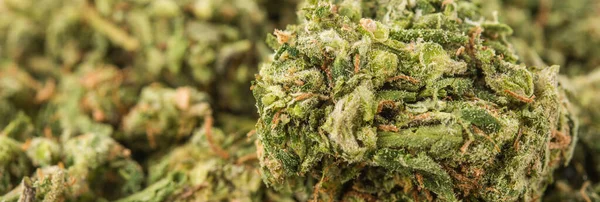 Marihuana Medyczna Lub Marihuana Obraz Panoramiczny — Zdjęcie stockowe