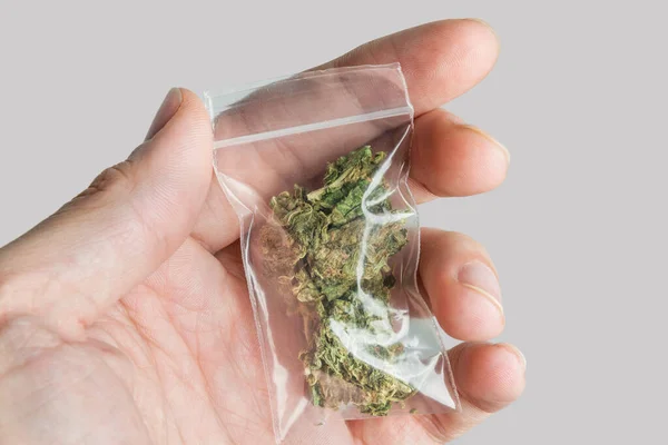Man Hand Hålla Väska Med Medicinsk Marijuana Isolerad Grå Bakgrund — Stockfoto