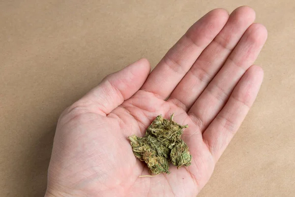 Man Hand Håller Medicinsk Marijuana Brun Bakgrund — Stockfoto