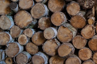 Yuvarlak huş yakacak odun