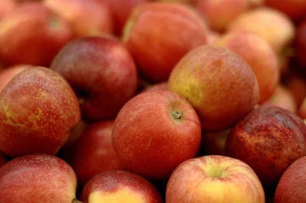 Lote de maçãs maduras vermelhas — Fotografia de Stock