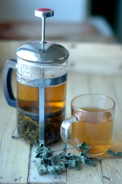 Té de hierbas verdes — Foto de Stock