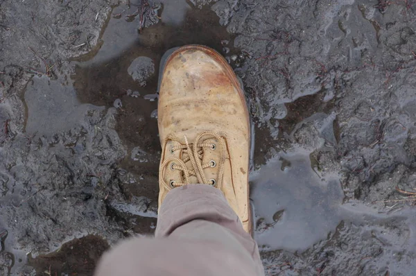 Botas de terreno marrón grande — Foto de Stock