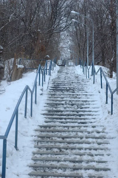 Заснеженная лестница зимой в парке. — стоковое фото
