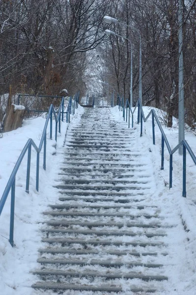 Заснеженная лестница зимой в парке. — стоковое фото