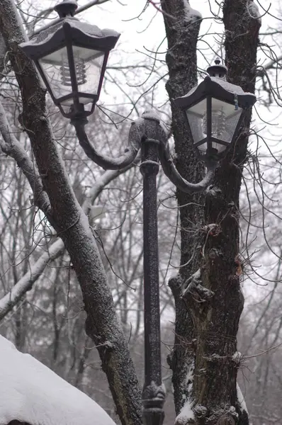 Классический фонарь в парке зимой — стоковое фото