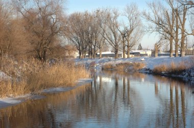  Kışın Peyzaj: ağaçlar, kar ve su