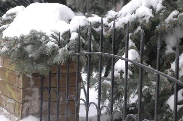 Uralter geschmiedeter Zaun aus Metall und Stein im Winter — Stockfoto