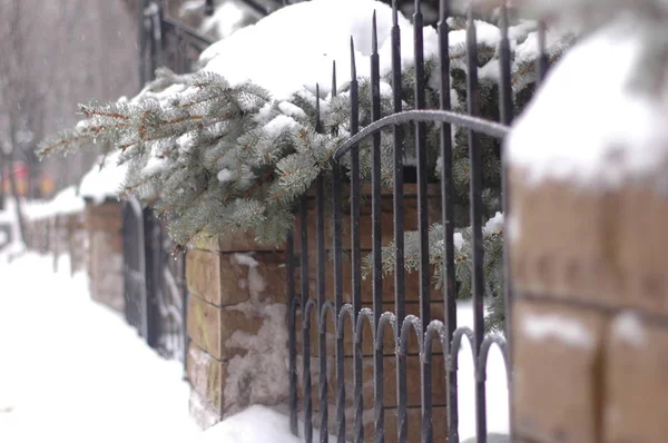 Ancient forged fence made of metal and stone in winter — Stock Photo, Image