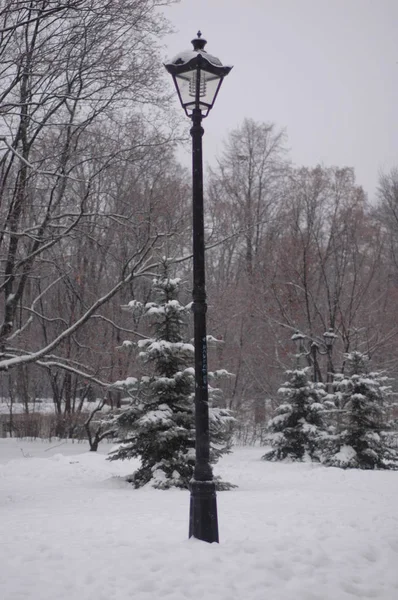 Классический фонарь в парке зимой — стоковое фото