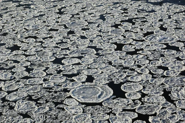 Espuma congelada blanca en el río —  Fotos de Stock