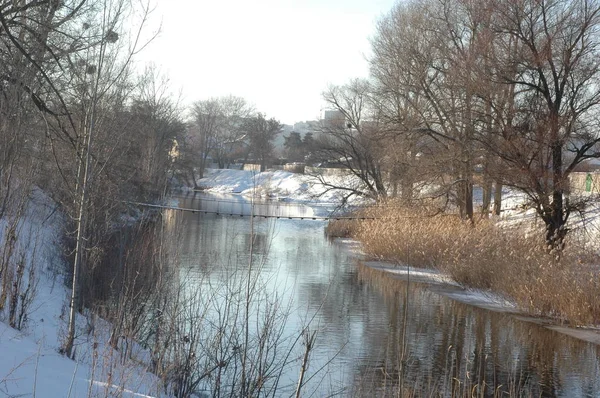 Suspension bridge over a small river against the background of reeds — Stock Photo, Image