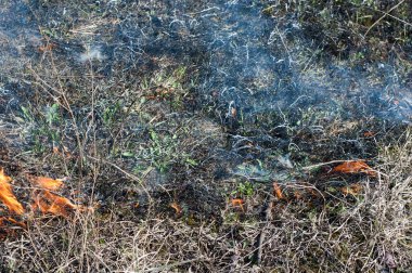 Sonbahar alanında çim yanık.