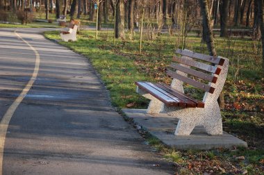 Bir ahşap Bank sonbaharda parkta.