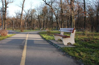 Bir ahşap Bank sonbaharda parkta.