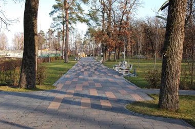 Sonbaharda parkta bir patika.