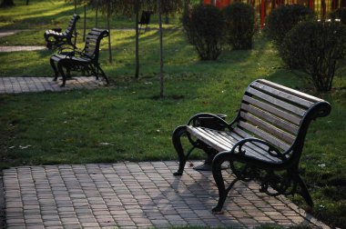 Bir ahşap Bank sonbaharda parkta.