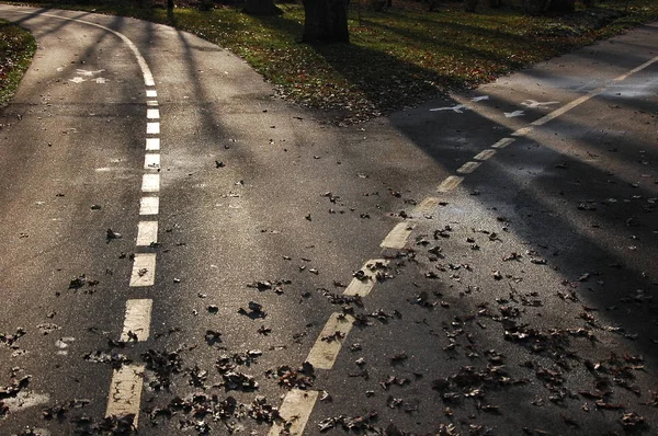 Chodnik Parku Jesienią — Zdjęcie stockowe