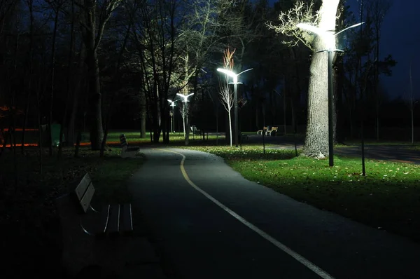 Gece Güzel Park Banklar Işıklar — Stok fotoğraf
