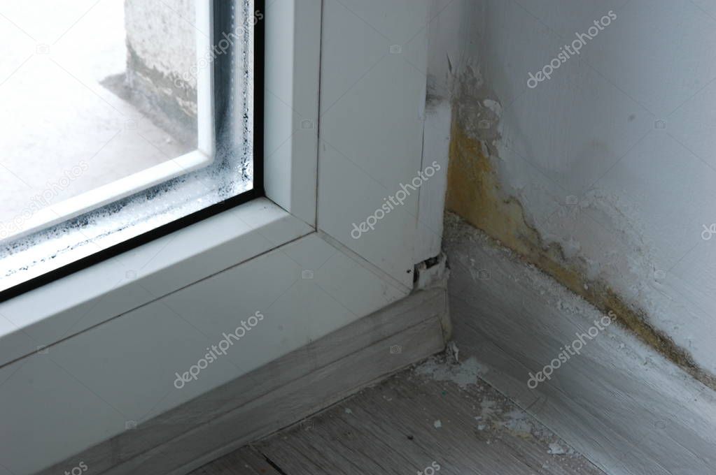 Mold in the corner near the misted metal-plastic window.