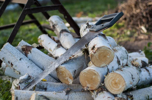 Runda Björk Loggar Lögn Nära Sågen Och Den Plats Där — Stockfoto