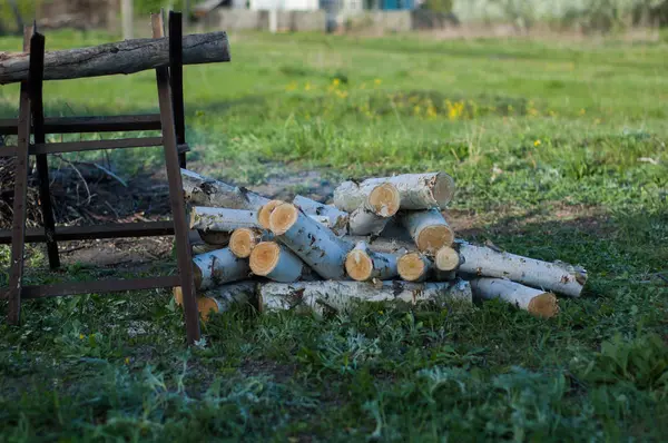 Troncos Abedul Redondos Encuentran Cerca Sierra Lugar Donde Fueron Cortados — Foto de Stock