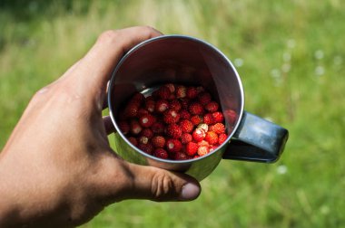 El ile çilek içeren bir metal kupa.