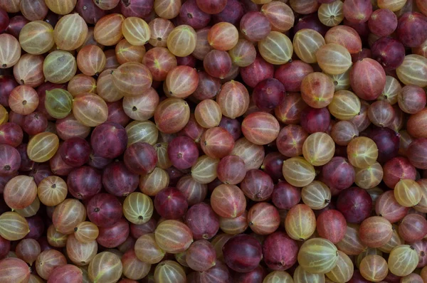 Muchas Bayas Maduras Grosella Sobre Fondo Madera — Foto de Stock