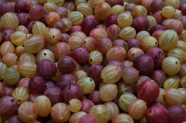 Muchas Bayas Maduras Grosella Sobre Fondo Madera — Foto de Stock