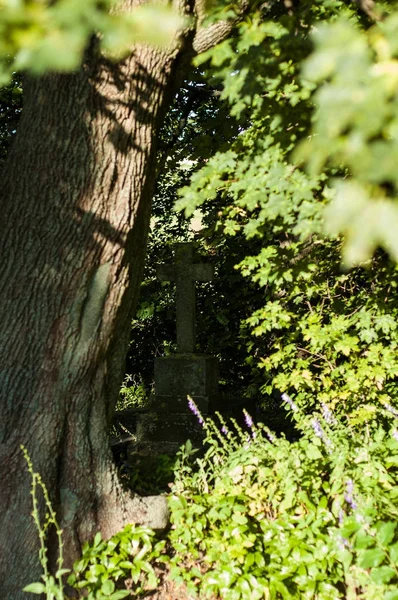 Oude Monumenten Kruisen Klassieke Europese Katholieke Begraafplaats — Stockfoto