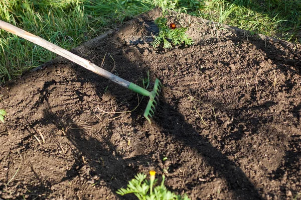 Uomo Lavora Con Rastrelli Sul Terreno — Foto Stock