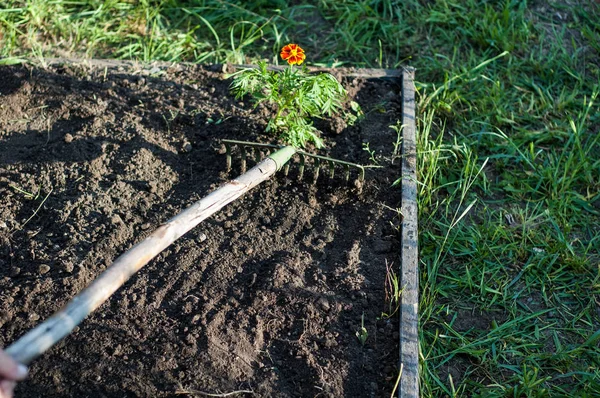 Uomo Lavora Con Rastrelli Sul Terreno — Foto Stock