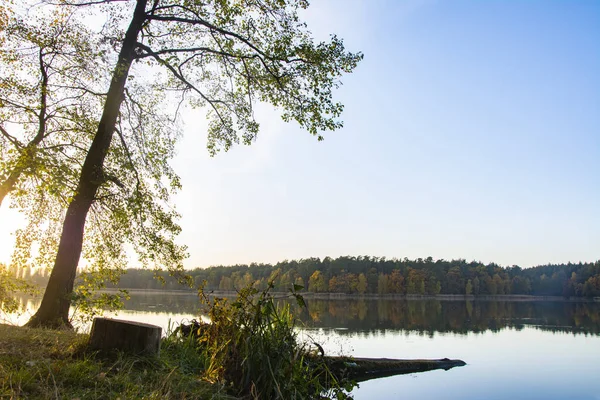 Prachtige Boom Een Achtergrond Van Een Meer Herfst Bij Zonsondergang — Stockfoto