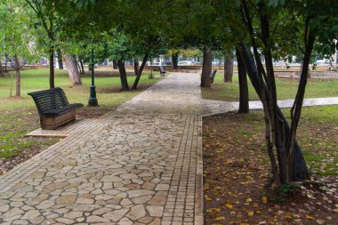 Parktaki ağaçların arasında yürüyüş ve yağmurdan sonra bir bank..