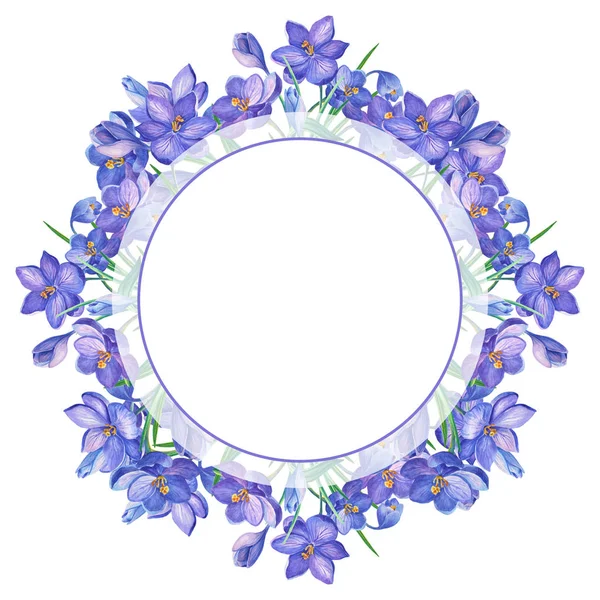 Frame.Watercolor illustration with crocus or saffron on a white background.bouquet of purple flowers.Can be used as greeting cards, wedding invitations, birthday, spring or summer holiday.