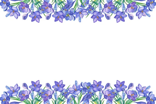Frame.Watercolor resimde crocus ya da mor çiçekler beyaz bir background.bouquet üzerinde safran ile. Tebrik kartları, düğün davetiyeleri, doğum günü, bahar ya da yaz tatil kullanılabilir.