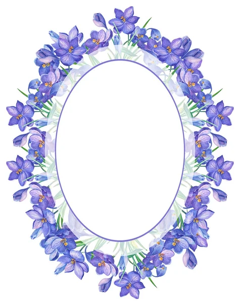 水彩插图与番红花或藏红花在白色的背景 一束紫色的花 可用作贺卡 婚礼请柬 春季或暑假 — 图库照片