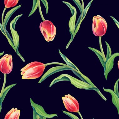 Sarı, kırmızı, mor laleli güzel yay deseni. Beyaz arkaplandaki çiçekler. Hediye paketi, kumaş, kağıt, kartpostal ve web sitesi tasarımı için baskı..