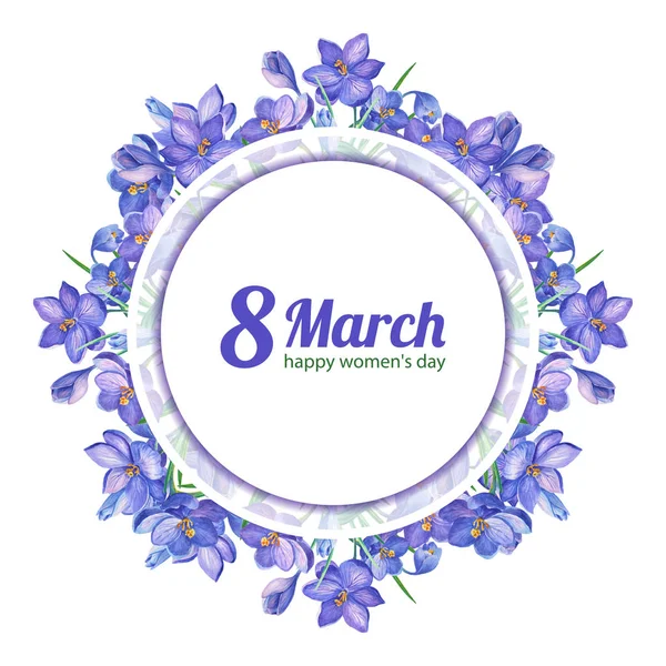 8March.Watercolor illustration with crocus or saffron on a white background.Spring bouquet of purple flowers.Greeting card for women`s day.Can be used as greeting cards, invitations, birthday,holiday