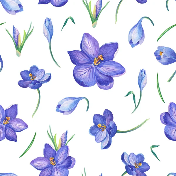 Krásný Jarní Vzor Bezešvé Krokusy Květy Šafránu Bílém Pozadí Akvarelu — Stock fotografie