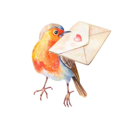 Suluboya Robin kuşu Erithacus rubecula. Suluboya El Çizimi illüstrasyonu.