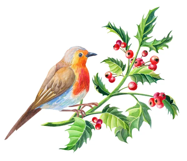 Akvarell Robin Bird.Akvarell Boldog Karácsonyi Kártyát.Újévi illusztráció. — Stock Fotó